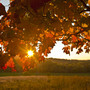 METEO / L'autunno può attendere: settimana di sole e temperature in rialzo METEO / L'autunno può attendere: settimana di sole e temperature in rialzo