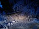 Alberi caduti per neve, con la fine dell'emergenza l'Amministrazione comunale di Peveragno ringrazia i tecnici intervenuti
