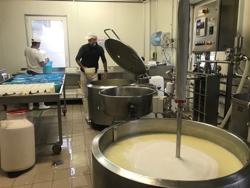 Agricoltura, 25 anni della Legge di orientamento: aziende sempre più multifunzionali Agricoltura, 25 anni della Legge di orientamento: aziende sempre più multifunzionali