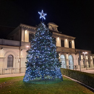 La magnolia della stazione si illumina: il Natale arriva a Bra