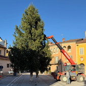A Piozzo si accende il Natale grazie all'albero donato dalla famiglia Raviola