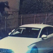 Furti a Mondovì e dintorni: sui social la foto del ladro mentre scappa dall'abitazione Furti a Mondovì e dintorni: sui social la foto del ladro mentre scappa dall'abitazione