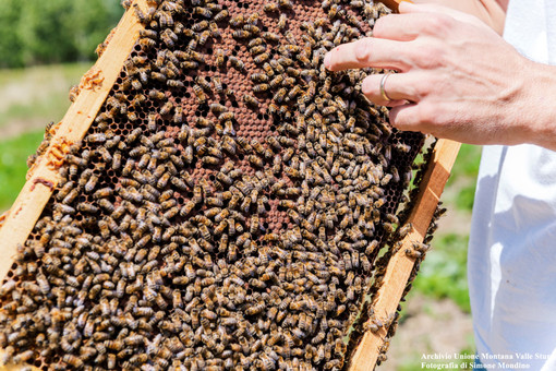 (ph simone mondino) (ph simone mondino)