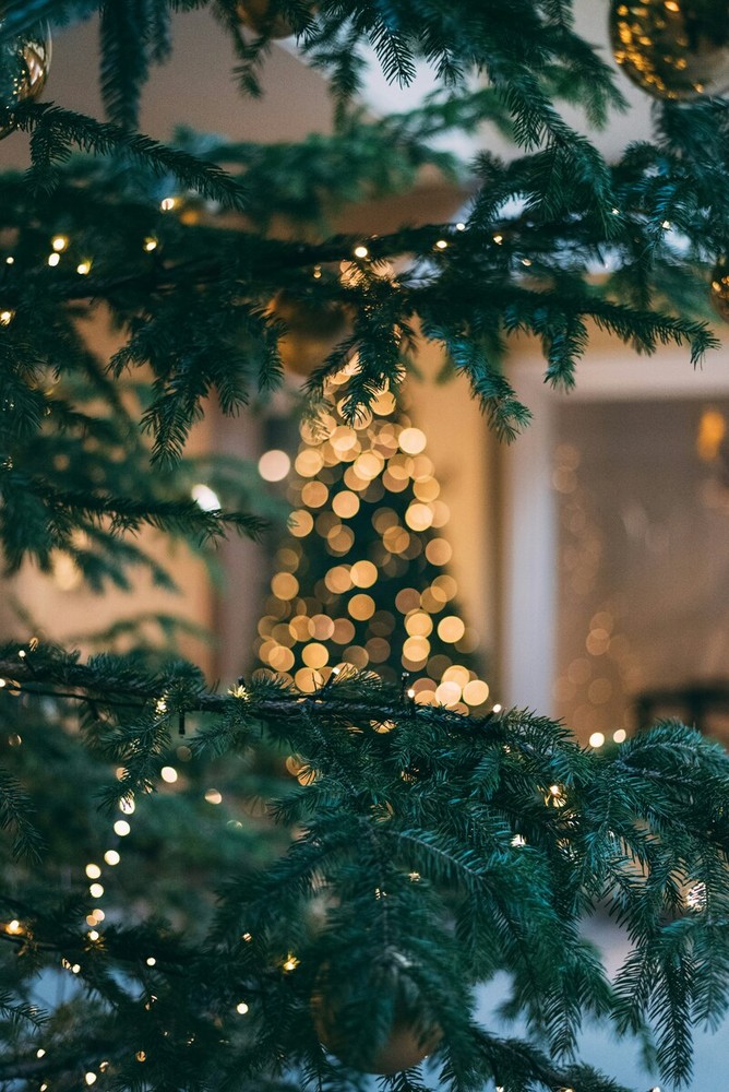 Rivoluzione Moranduzzo: Come l'Albero di Natale Artificiale con Foglie Curve ha Ridefinito gli Addobbi Festivi