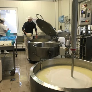 Agricoltura, 25 anni della Legge di orientamento: aziende sempre più multifunzionali Agricoltura, 25 anni della Legge di orientamento: aziende sempre più multifunzionali
