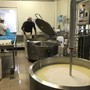 Agricoltura, 25 anni della Legge di orientamento: aziende sempre più multifunzionali Agricoltura, 25 anni della Legge di orientamento: aziende sempre più multifunzionali