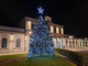 La magnolia della stazione si illumina: il Natale arriva a Bra