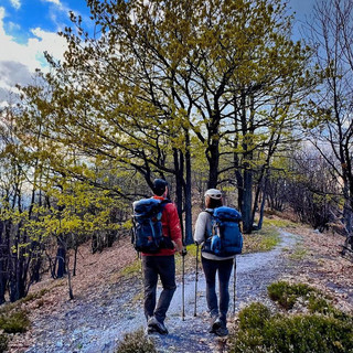 “A zonzo in Valle Pesio”: un nuovo portale per scoprire i sentieri del territorio “A zonzo in Valle Pesio”: un nuovo portale per scoprire i sentieri del territorio
