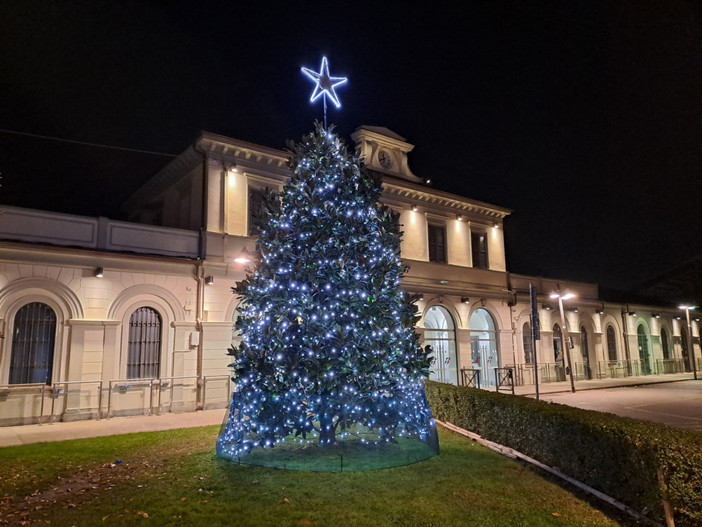 La magnolia della stazione si illumina: il Natale arriva a Bra
