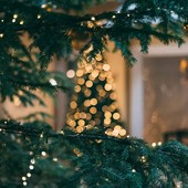 Rivoluzione Moranduzzo: Come l'Albero di Natale Artificiale con Foglie Curve ha Ridefinito gli Addobbi Festivi Rivoluzione Moranduzzo: Come l'Albero di Natale Artificiale con Foglie Curve ha Ridefinito gli Addobbi Festivi