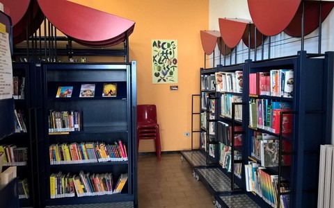 Oltre 1,1 milioni ai sistemi bibliotecari piemontesi: la Regione investe su cultura, reti territoriali e accesso al sapere