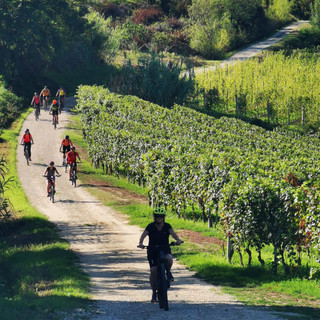 “Roero Bike Destination” tra i progetti finanziati da Fondazione CRC