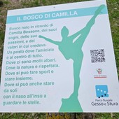 Il bosco di Camilla a Cuneo