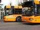 Bra: bus, nuove fermate temporanee sostitutive in piazza Giolitti