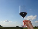 Coldiretti Cuneo: “A rischio il vino made in Italy, serve una svolta nei negoziati UE-USA” Coldiretti Cuneo: “A rischio il vino made in Italy, serve una svolta nei negoziati UE-USA”