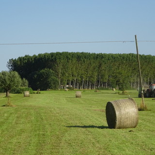 Le balle di fieno: una delle immagini più belle dell'estate Le balle di fieno: una delle immagini più belle dell'estate