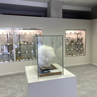 Tra i musei aperti anche quello del Fungo