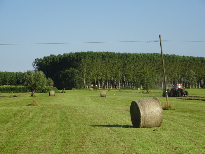 Le balle di fieno: una delle immagini più belle dell'estate Le balle di fieno: una delle immagini più belle dell'estate