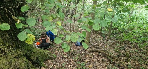 Ormea scopre il Bagno di Foresta: un’esperienza di benessere nel cuore dell’Alta Val Tanaro