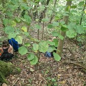 Ormea scopre il Bagno di Foresta: un’esperienza di benessere nel cuore dell’Alta Val Tanaro Ormea scopre il Bagno di Foresta: un’esperienza di benessere nel cuore dell’Alta Val Tanaro