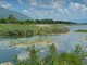 Biodiversità e agricoltura sostenibile: a Racconigi confronto tra istituzioni, mondo agricolo e territori Biodiversità e agricoltura sostenibile: a Racconigi confronto tra istituzioni, mondo agricolo e territori