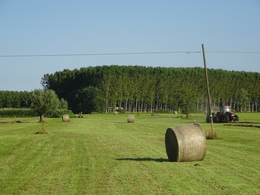 Le balle di fieno: una delle immagini più belle dell'estate Le balle di fieno: una delle immagini più belle dell'estate