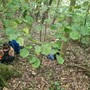 Ormea scopre il Bagno di Foresta: un’esperienza di benessere nel cuore dell’Alta Val Tanaro