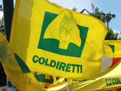 Cibo, Coldiretti Cuneo: stop definitivo alle speculazioni