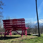 Weekend dalla doppia faccia: primavera domani, pioggia e neve domenica