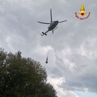 Immagine di repertorio