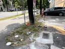 Foto scattata lo scorso anno davanti al Bonelli di Cuneo Foto scattata lo scorso anno davanti al Bonelli di Cuneo