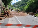 Rimosso l'albero e riaperta a senso unico alternato la statale della valle Roya Rimosso l'albero e riaperta a senso unico alternato la statale della valle Roya
