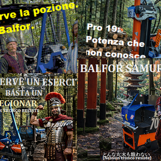 Balfor srl di Manta: la potenza a cui nessun tronco può resistere