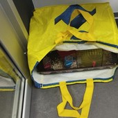 Abbandona quattro criceti in una busta di fronte a un negozio: ora si spera in un'adozione del cuore Abbandona quattro criceti in una busta di fronte a un negozio: ora si spera in un'adozione del cuore