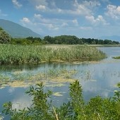 Biodiversità e agricoltura sostenibile: a Racconigi confronto tra istituzioni, mondo agricolo e territori Biodiversità e agricoltura sostenibile: a Racconigi confronto tra istituzioni, mondo agricolo e territori