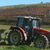 Reti d'impresa e marketing digitale, Cia Cuneo: "Aiuti concreti per le aziende agricole dagli ultimi due bandi della Camera di Commercio" Reti d'impresa e marketing digitale, Cia Cuneo: "Aiuti concreti per le aziende agricole dagli ultimi due bandi della Camera di Commercio"