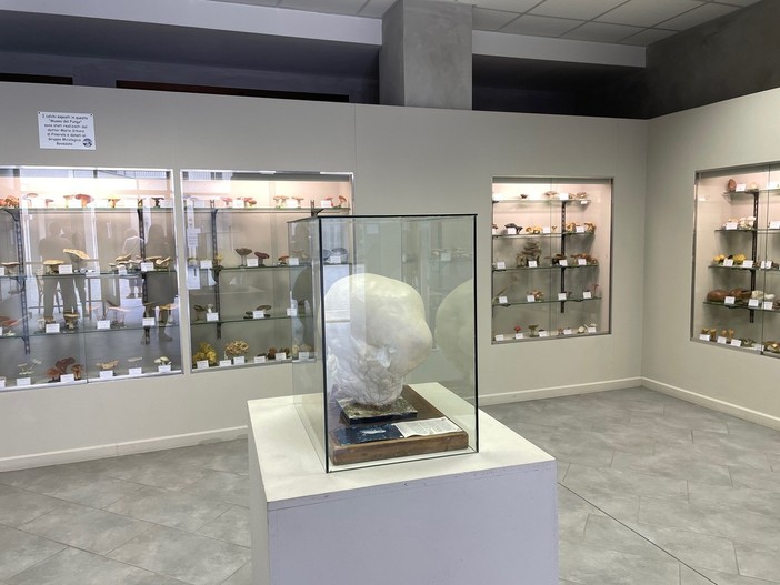 Tra i musei aperti anche quello del Fungo Tra i musei aperti anche quello del Fungo
