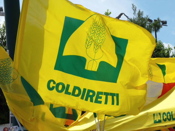 Piazza Coldiretti a Cuneo: tre giorni a cielo aperto tra street food 100% italiano, laboratori per bambini e grandi show comici