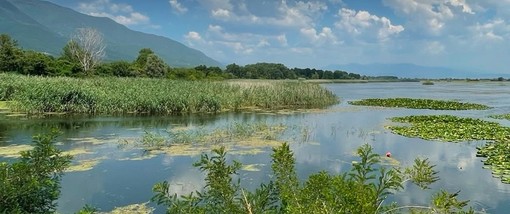Biodiversità e agricoltura sostenibile: a Racconigi confronto tra istituzioni, mondo agricolo e territori Biodiversità e agricoltura sostenibile: a Racconigi confronto tra istituzioni, mondo agricolo e territori