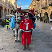 Cavalli sfruttati per gli eventi natalizi a Cuneo? L'azienda agli animalisti: "Benessere garantito. Proteste ingiuste" Cavalli sfruttati per gli eventi natalizi a Cuneo? L'azienda agli animalisti: "Benessere garantito. Proteste ingiuste"