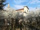 La ‘grande bellezza’ della primavera al Santuario della Madonna dei Fiori di Bra [FOTO]