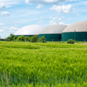 Biogas: si apre una nuova filiera tecnologica per il ritiro dell'energia dai produttori Biogas: si apre una nuova filiera tecnologica per il ritiro dell'energia dai produttori