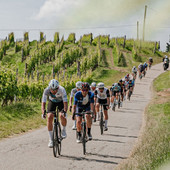 (ph profilo fb bra bra fenix internazionale langhe roero monferrato)