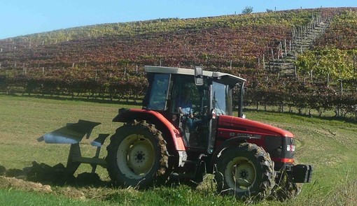 Reti d'impresa e marketing digitale, Cia Cuneo: "Aiuti concreti per le aziende agricole dagli ultimi due bandi della Camera di Commercio" Reti d'impresa e marketing digitale, Cia Cuneo: "Aiuti concreti per le aziende agricole dagli ultimi due bandi della Camera di Commercio"