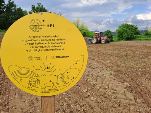 Con il progetto +Api  a Piozzo: un’oasi fiorita per la biodiversità