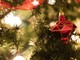 A Boves sarà un Natale ricchissimo: non mancherà il magico villaggio degli Elfi