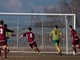 Calcio, tutte le decisioni del Comitato LND Piemonte e Valle d'Aosta: promosse le prime classificate dei gironi di ogni campionato