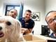 Recuperata in un canale dopo dieci giorni di ricerche, ora Chanel è al sicuro Recuperata in un canale dopo dieci giorni di ricerche, ora Chanel è al sicuro