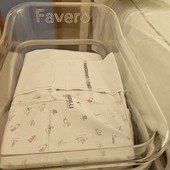 In progressiva crescita il fenomeno delle culle vuote e della denatalità