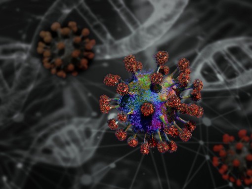 Hantavirus: cosa sapere e come proteggersi, dall’Iss le risposte alle domande più frequenti Hantavirus: cosa sapere e come proteggersi, dall’Iss le risposte alle domande più frequenti